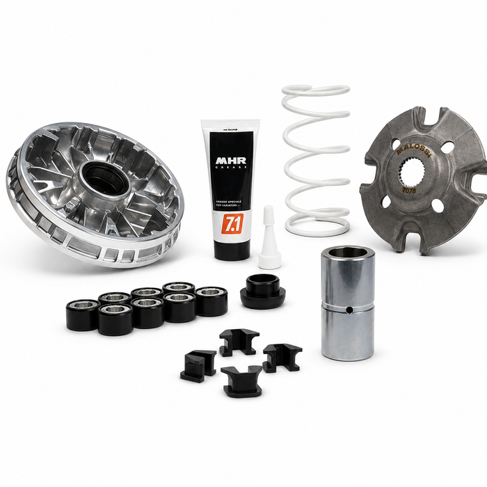 MALOSSI Multivar 2000 Zontes 368 1149104 Variateur