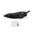 Protection Collecteur Courte TEKMO® Carbone KTM 690 SMC-R 2026 207509S
