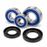Kit Rodamientos y Retenes Rueda Trasera ALL BALLS Yamaha Tenere 700 MT 07 09 XSR Tracer 25-1703