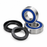 Kit Rodamientos y Retenes Rueda Trasera ALL BALLS Yamaha Tenere 700 MT 07 09 XSR Tracer 25-1806