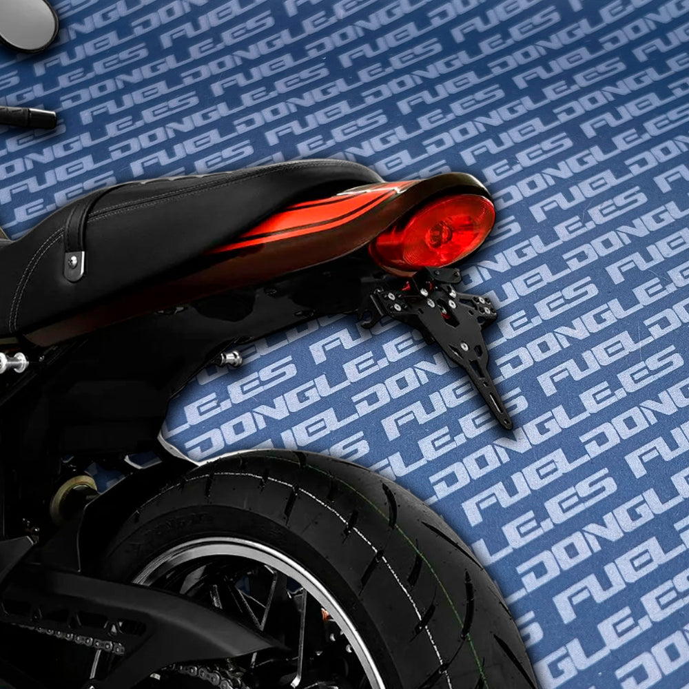 Porta Matrículas ZIEGER Pro Kawasaki Z 900 RS