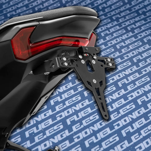 Porta Matrículas ZIEGER Pro Kawasaki Z 900 2025