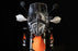 RADE-GARAGE® Cúpula KTM 790 890 Adventure